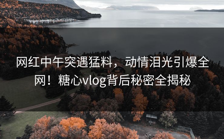 网红中午突遇猛料,动情泪光引爆全网!糖心vlog背后秘密全揭秘 网红中午突遇猛料,动情泪光引爆全网!糖心vlog背后秘密全揭秘
