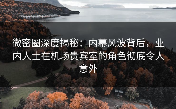 微密圈深度揭秘：内幕风波背后，业内人士在机场贵宾室的角色彻底令人意外
