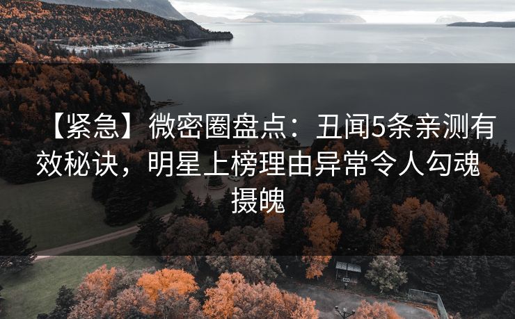 【紧急】微密圈盘点：丑闻5条亲测有效秘诀，明星上榜理由异常令人勾魂摄魄